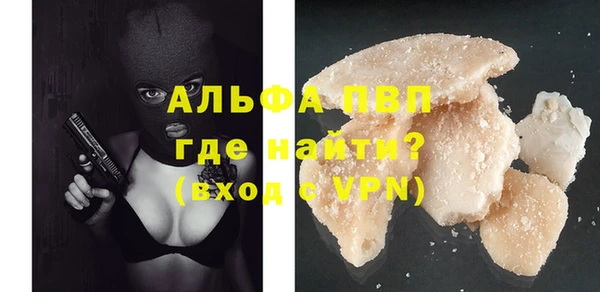 прущие грибы Киренск