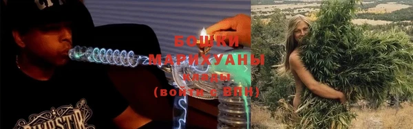 прущие грибы Киренск