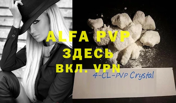 прущие грибы Киренск