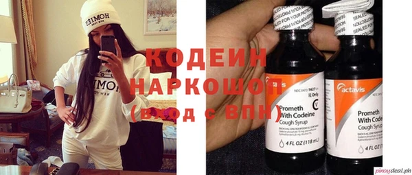 прущие грибы Киренск
